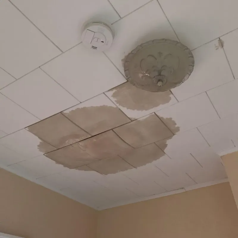 Ceiling Water Damage Repair in Rockcastle County, KY
