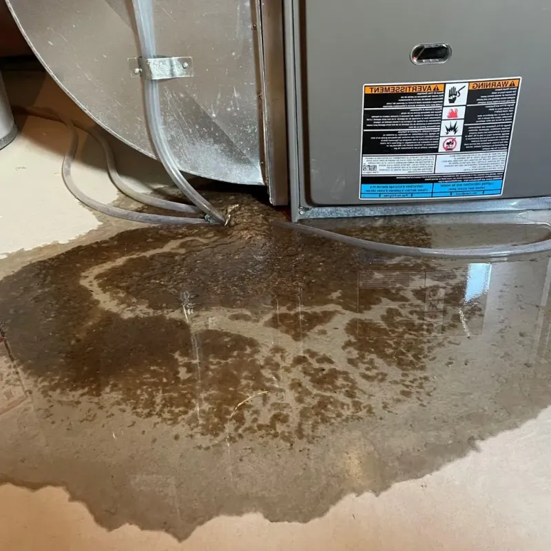 Pipe Burst and Leak Restoration in Rockcastle County, KY