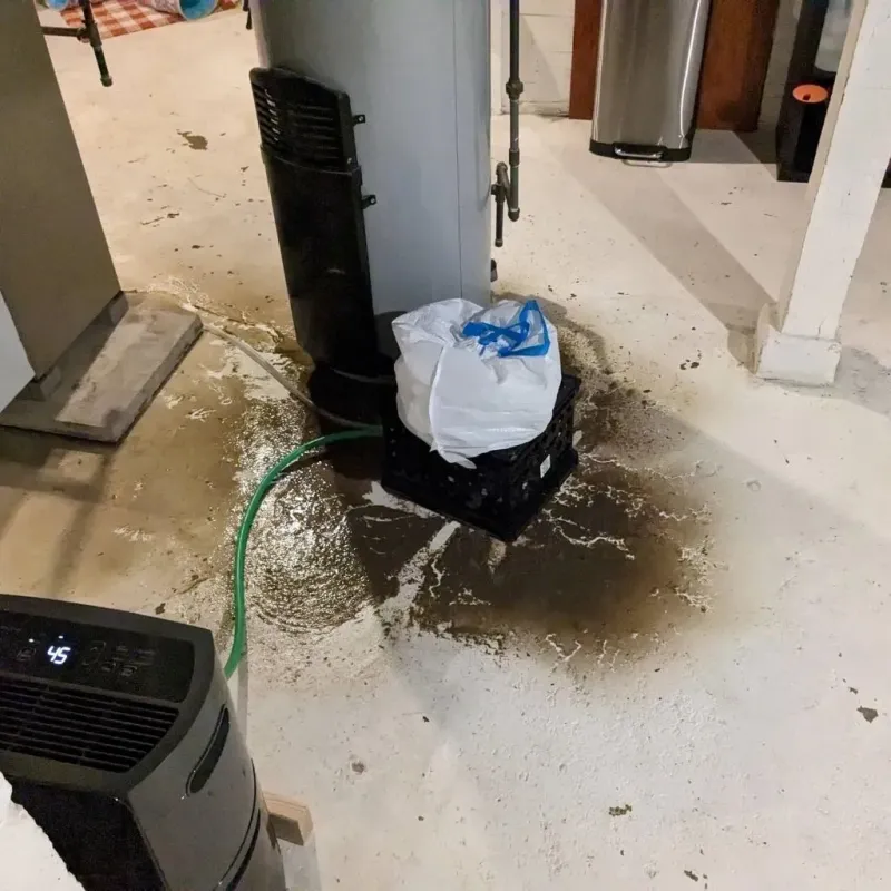 Sewage Backup Cleanup Service in Rockcastle County, KY